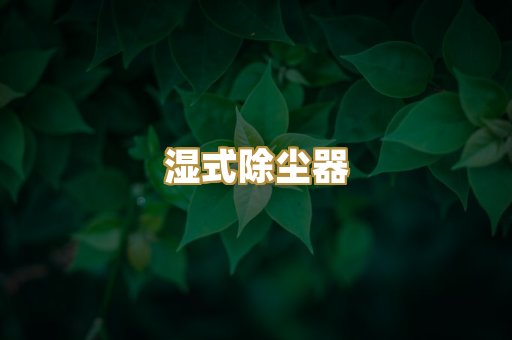 湿式除尘器