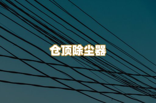 仓顶除尘器